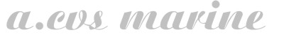 A.CVS MARINE