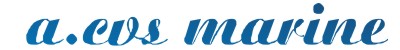 A.CVS MARINE